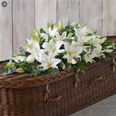 Lily Casket Spray White 